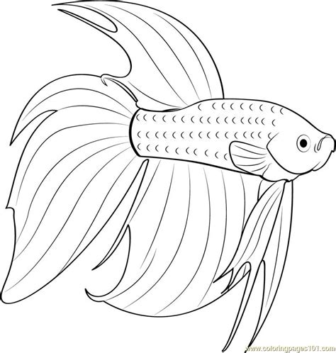 New users enjoy 60% off. betta red fish coloring page in 2020 | Fish coloring page, Coloring pages, Betta fish tattoo