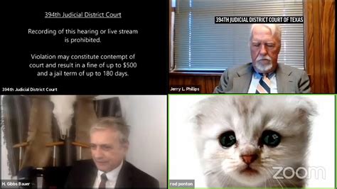 I now know what else i would have been supporting in the coronavirus age: Filter turns lawyer into cat during Zoom hearing - YouTube