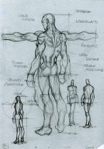 Then we will define more anatomy by drawing chest, abs or abdominal muscles, torso and shoulders (deltoids). Male Anatomy-Drawing Tutorial | Wiki | Art Amino