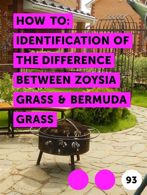 Identify bermuda grass for successful control. How to: Identification of the Difference Between Zoysia ...