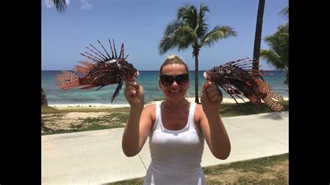 Maybe you would like to learn more about one of these? Lionfish Scuba Divers Kill 275 in One Day-Over 455,000 views! Pensacola-... | Lion fish ...