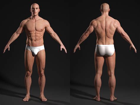 White background for assembling or creating teaching materials for moms doing homeschooling and teachers searching for images for teaching materials. Male Body - Anatomy Study | Andor Kollar - Character Artist