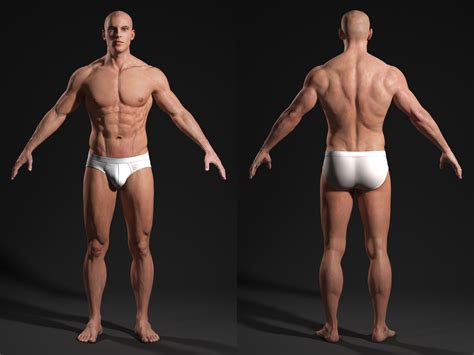 We did not find results for: Male Body - Anatomy Study | Andor Kollar - Character Artist