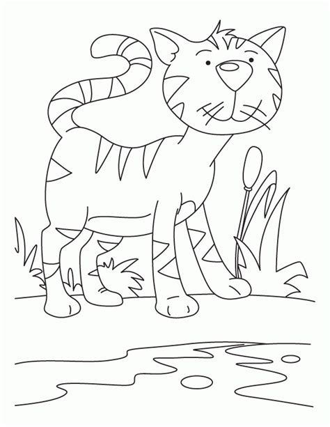 Download and print these warrior cat to print coloring pages for free. Warrior Cat Coloring Pages - Coloring Home