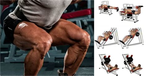 How can i get fatter legs? Build Bulging Bigger Legs Fast With This Workout ...