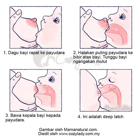 Bila anda menemukan bercak putih dalam mulut bayi dan sulit dibersihkan, kemungkinan adalah jamur atau candidiasis oral. Cara Breastfeeding yang Betul - Ciri Lekapan Baik - Cozy Lady