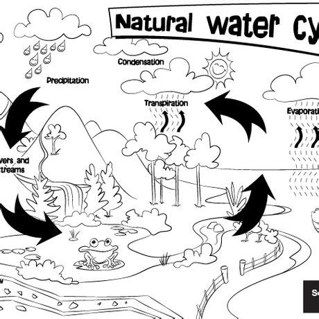 Print these out and use them as posters or coloring pages. Natural water cycle colouring sheet | South East Water ...