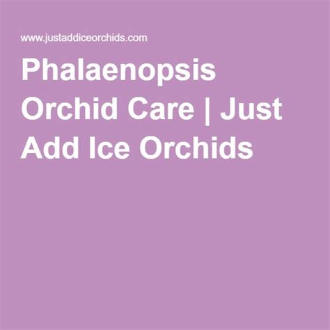 Just read this article and you'll learn how orchids grow in nature and it isn't anywhere near a freezer! Phalaenopsis Orchid Care | Just Add Ice Orchids ...