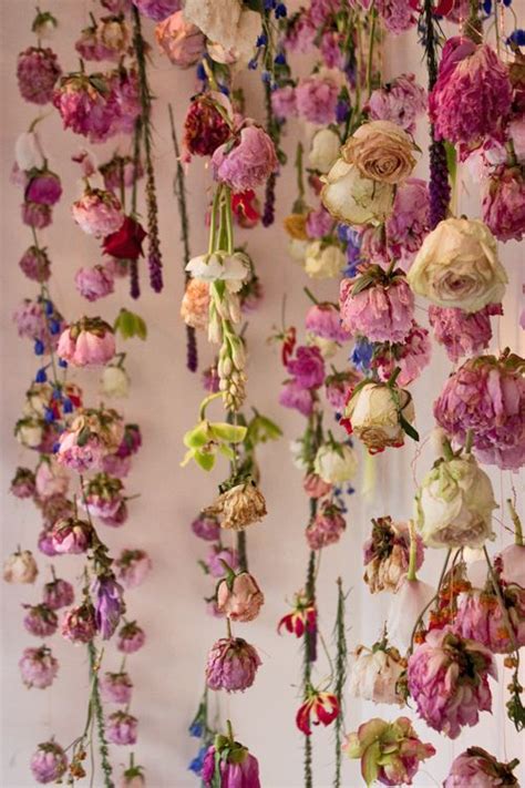 Discover the magic of the internet at imgur, a community powered entertainment desti. 197 best Forever Roses - Dried Roses images on Pinterest | Dried flowers, Dry flowers and Drying ...