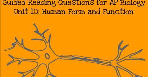 Testing your understanding answers now get a verified writer to help you with ap biology study reading guide chapter 6. Biology by the Math Mom: Unit 10 Reading Guides-Human Form ...