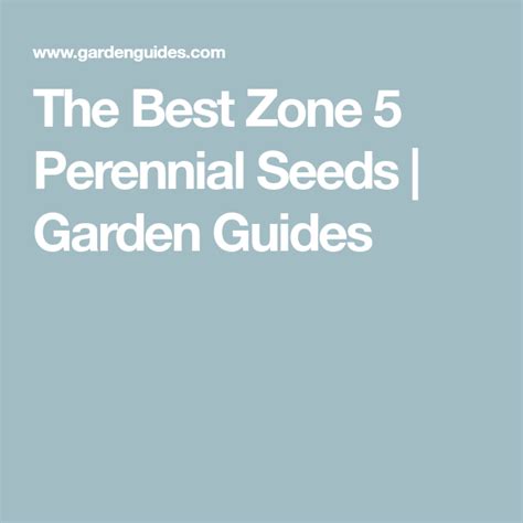 Squash is one of the easiest, most productive, quickest crops you can grow! The Best Zone 5 Perennial Seeds | Garden Guides ...