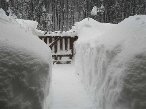 Italien hat mit einem 2:1 nach verlängerung gegen österreich das viertelfinale erreicht. In Österreich ist Schnee vom Himmel gefallen ...