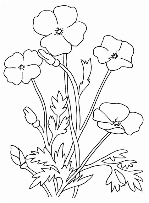 Please enter your email address receive free weekly tutorial in your email. Remembrance Day Poppy Coloring Page - Coloring Home