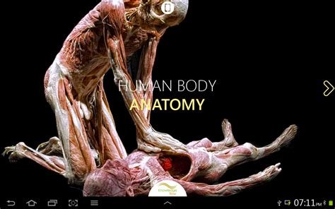 We found that getbodysmart.com is a pretty a free website study guide review that uses interactive animations to help you learn online about anatomy and physiology, human anatomy, and the human body systems. Amazon.com: Human Body Anatomy: Appstore for Android