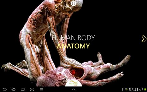 Their partner website has animated text narrations and quizzes to help you study the structures and functions of the thanks to these virtual tours, learning a tough subject like anatomy gets a lot easier. Amazon.com: Human Body Anatomy: Appstore for Android