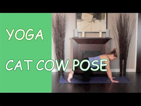 Learn how to do the extended puppy yoga pose in this. Free Yoga Videos Online - Cat Cow Pose #3 (ฝึกโยคะ ...