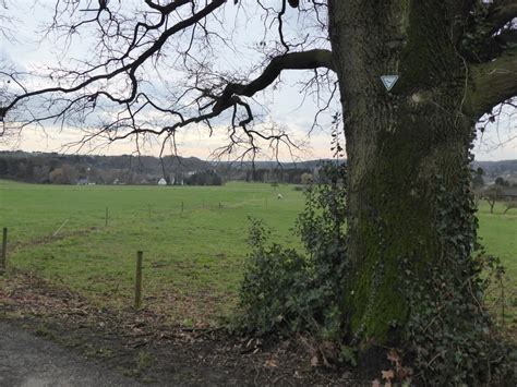 Leichlingen info & offenes forum has 9,863 members. Wandelen: Leichlingen - Lockere Runde (Tour 171086)