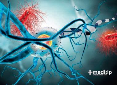 Aunque las enfermedades autoinmunes son crónicas, normalmente el proceso autoinmune puede ser modulado e incluso frenado, evitando la interacción continua entre los genes y el entorno. Enfermedades autoinmunes: causas, diagnóstico y tratamiento - Meditip