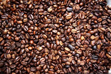 Dark roast coffee are much soluble than lighter roast coffee. photo: fresh roasted ethiopian moreno coffee beans MG 6448 ...