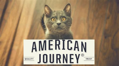 Which means you can only buy american journey dog food from chewy.com directly, or from a few other online marketplaces. American Journey Cat Food Review 2020 (In-Depth) - CatlyCat