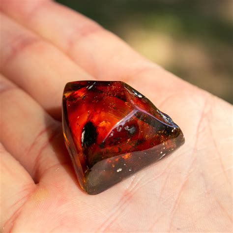 Amber polished amber pendant n. Raw Amber #16 - The Crystal Council