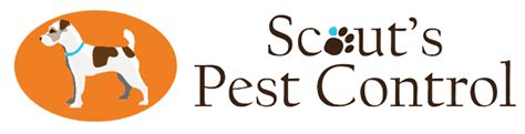 Always do an excellent job. robinsons, greenville, sc (sept 2015). Scouts Pest Control Greenville SC, Anderson SC, Simpsonville