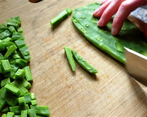 Grilling a prickly pear cactus pad harvested from my neighbor's front yard.as an amazon associate i earn from qualifying purchases. Recipes for preparing Prickly Pear Cactus Pads - Watters ...