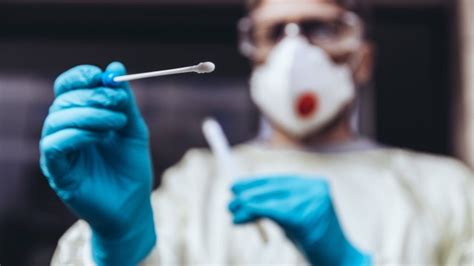 Plane aber genügend zeit bei reisen ein, da es manchmal auch zu nachtestungen und verzögerungen kommen kann. Corona-Reihentests können starten: Preis für PCR-Tests ...