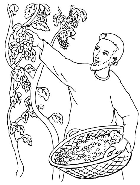 Coloriages gratuits pour les enfants : PARABOLE de la vigne du maitre