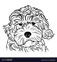 Print coloring pages by moving the cursor over an image and clicking on the printer icon in its upper right corner. Learn How to Draw a Mini Goldendoodle (Dogs) Step by Step : Drawing Tutorials | Puppy coloring ...