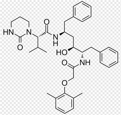 Coli by the affinity tag, poly histidine tag. Rumus Kimia Enzim Protease - Guru Paud