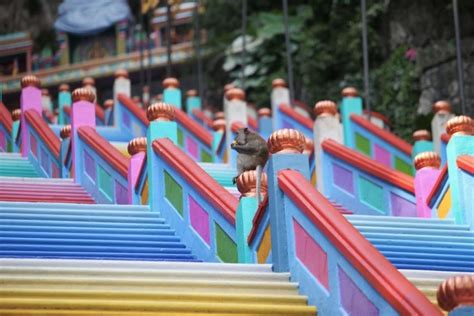 Are the batu caves in kl worth the visit? Batu Caves Kini Berwajah Baru Sekali Tengok Bagaikan ...