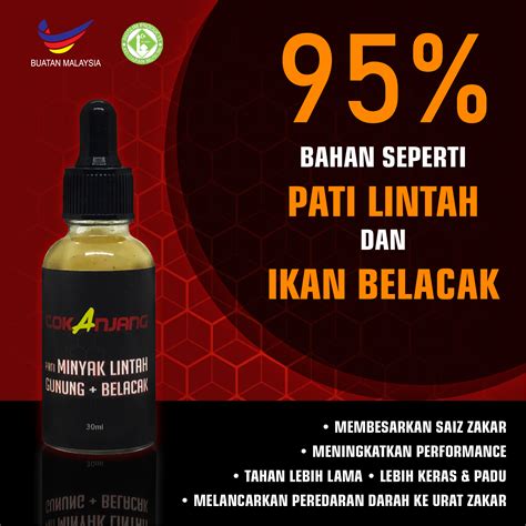 = minyak lintah belacak ni juga untuk tegangkan payudara.cara urutan zakar & payudara kami dah sediakan di dalam kotak.jika tak faham. Pati Minyak Lintah Gunung Belacak Tok Anjang