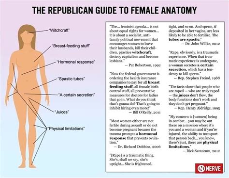 Do we show them (those functions) on those diagrams? Lady Parts