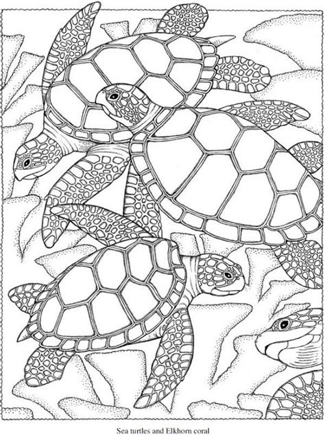 Sea turtle coloring page is filled with your favorite aquatic reptile. Pin on projects