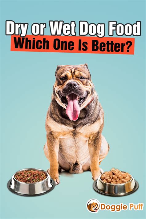 Since wet food is more expensive than dry dog food, mixing the two adds an expense to mealtime in comparison with only feeding dry. Dry or Wet Dog Food: Which One Is Better? - www.doggiepuff ...