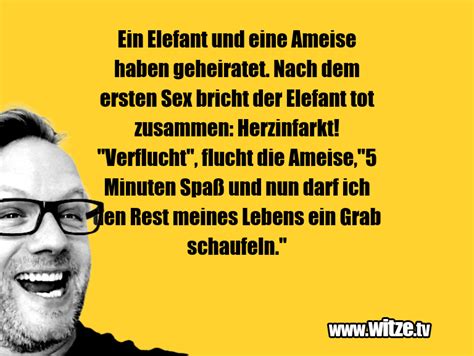 Für jede konjugierte form von „heiraten gibt es einen entsprechender beispielsatz mit download und sprachausgabe. Wir Haben Geheiratet Lustige Sprüche / Haben Sie Denn ...