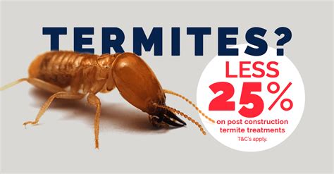 It's easy to miss the signs of termites and because a colony can range between a few hundred to millions of. Summer termite promotion of less 25% off of all structural ...