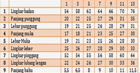 Model baju gamis brokat untuk orang gemuk dan pantas. Ukuran Baju Berdasarkan Berat Badan - Perodua a