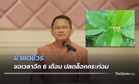 สำนักข่าวไทย online @tnamcot #ปลดพืชกระท่อม ออกจาก พ.ร.บ.ยาเสพติดให้โทษ มีผล 24 สิงหาคมนี้ ผู้กระทำผิดพืชกระท่อมได้ปล่อยตัว. "สมศักดิ์" ยัน ขอเวลาอีก 6 เดือนปลดล็อกพืชกระท่อม เน้นใช้ ...