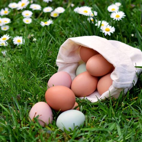 Wann ist das fest von maria? Wie lange halten Eier und wann sind Eier schlecht? 5 Tipps