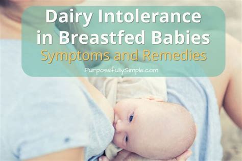 Ultimately, how to introduce allergens is a personal decision you'll make in consultation with your if your infant already has eczema or signs of a food allergy—or if a sibling has a peanut • ricotta cheese: Dairy Intolerance in Breastfed Babies: Symptoms and ...