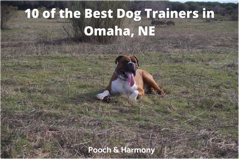 Once you buy , you would possibly search for merchandise outline. 10 of the Best Dog Trainers in Omaha, NE - Pooch & Harmony