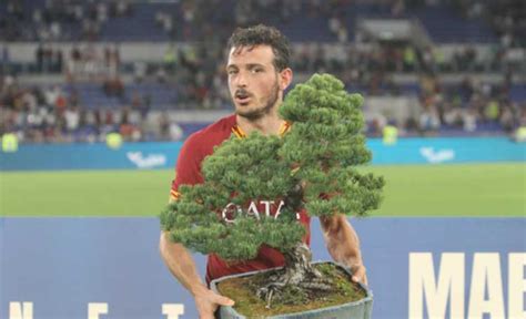 Kata ini termasuk dalam kata kerja, tapi ada satu arti dalam kata benda yaitu tangkapan. Arti Pohon Bonsai, Piala AS Roma di Mabel Green Cup