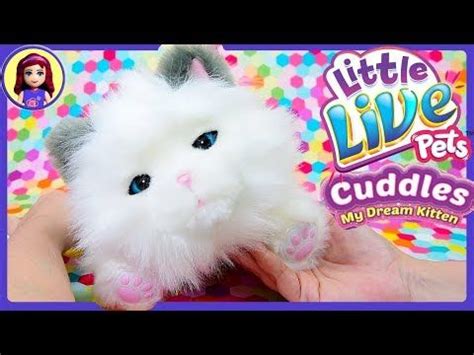 They will fall in love with it the minute your kitten opens its eyes! My Dream Kitten Cuddles Little Live Pets Review New Pet ...