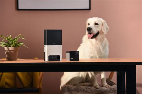 Умные камеры для животных Petcube Bites и Play получили улучшенные ...