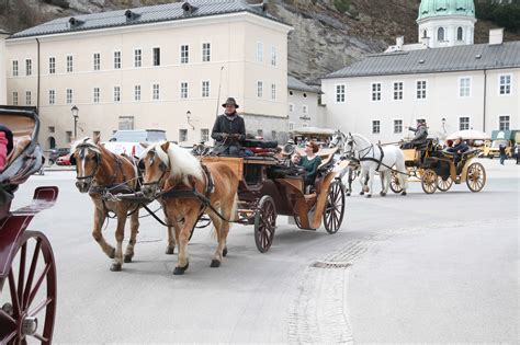 Fiaker kutschieren gäste durch die zum weltkulturerbe zählende innenstadt, in dessen zentrum sich der stephansdom. Fiaker machen morgen Hitzefrei - Salzburg-Stadt