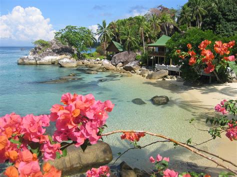 Kalau datang ke pahang, destinasi pulau yang amat popular semestinya pulau tioman. Salang Indah Resort, Pulau Tioman Island, Pahang, Malaysia ...