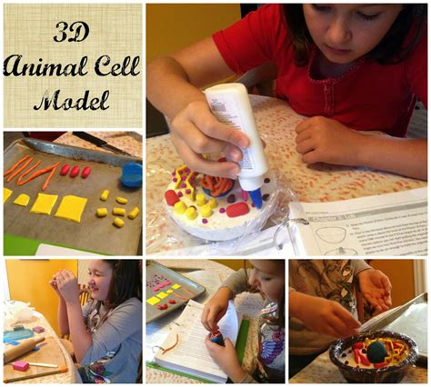 Omnivores are animals that derive their nutrients from a diet of plant and animal matter. R.E.A.L. Science Odyssey Lab Fun & Early Review