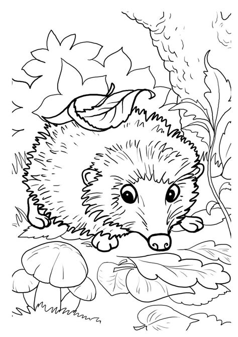 Coloring pages are fun for children of all ages and are a great educational tool that helps children develop fine motor skills, creativity and (autumn!) color recognition. Hedgehogs. Free Printable, Coloring and Activity Page for ...